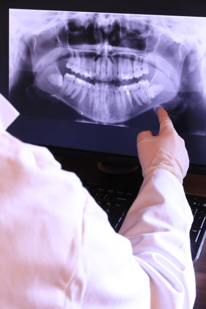 Best Emergency X-Rays and Diagnostics in North Hills, NY