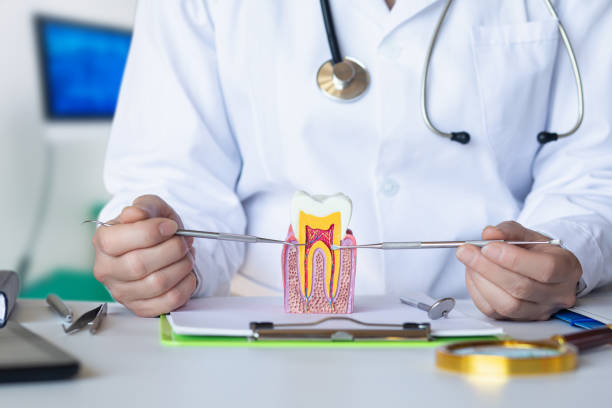 Best Emergency Orthodontic Repairs in North Hills, NY